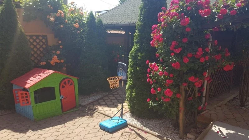 Orsova Szállás | Panzió (K1558-42) A kép szerzői jogvédelem alatt állhat. Javasolt a kapcsolatfelvétel a jog tulajdonossal.