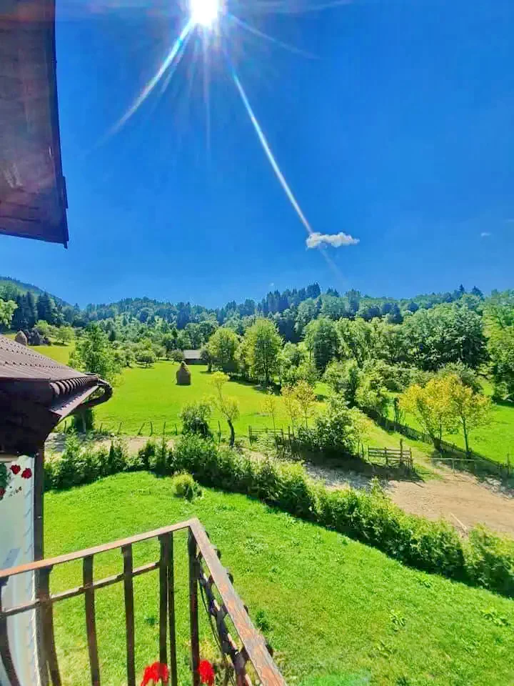 Rodna Cazare | Motel (K1256-21) Imaginea poate fi supusă drepturilor de autor. Se recomandă contactarea titularului drepturilor.