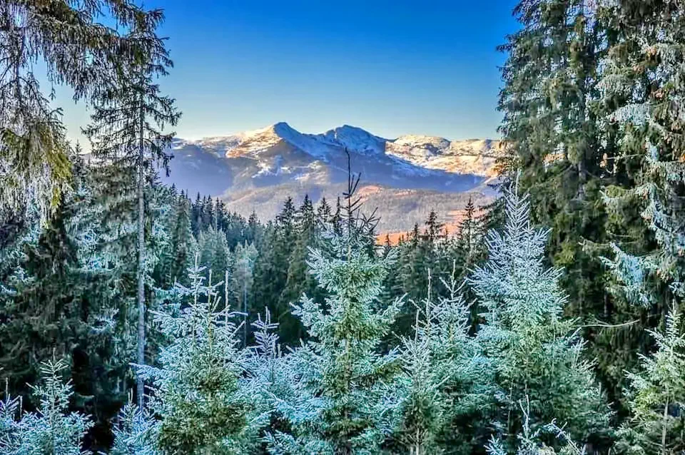 Rodna Cazare | Motel (K1256-44) Imaginea poate fi supusă drepturilor de autor. Se recomandă contactarea titularului drepturilor.