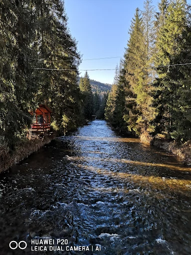 Lepus Szállás | Kulcsosház (K0735-22) A kép szerzői jogvédelem alatt állhat. Javasolt a kapcsolatfelvétel a jog tulajdonossal. Lepus Szállás | Kulcsosház (K0735-22) A kép szerzői jogvédelem alatt állhat. Javasolt a kapcsolatfelvétel a jog tulajdonossal.