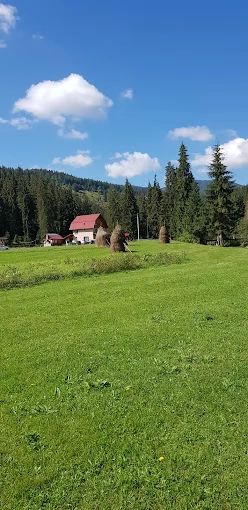 Lepus Szállás | Üdülőfalu (K0735-31) A kép szerzői jogvédelem alatt állhat. Javasolt a kapcsolatfelvétel a jog tulajdonossal.
