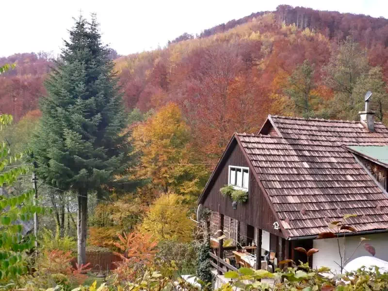 Cazare Sovata - Casa de vacanță Csongvai Lak ** | Szováta - Csongvai Lak Kulcsosház **. Imaginea poate fi supusă drepturilor de autor. Se recomandă contactarea titularului drepturilor.