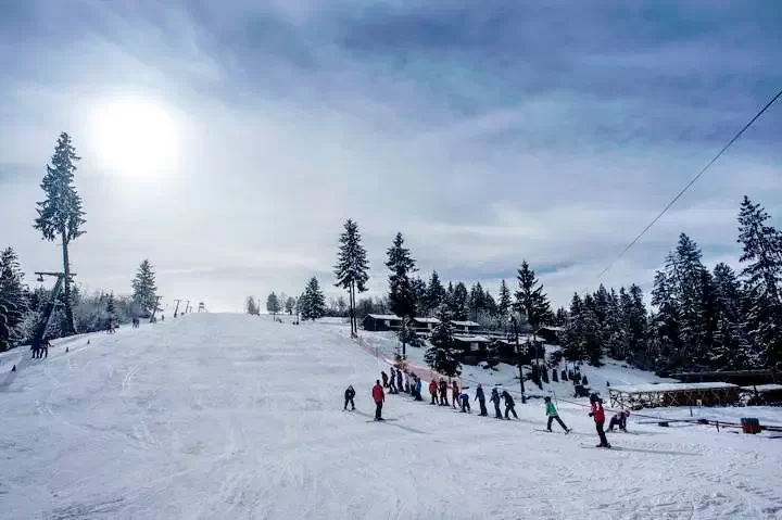 Rugonfalva Szállás | Panzió (K1261-38) A kép szerzői jogvédelem alatt állhat. Javasolt a kapcsolatfelvétel a jog tulajdonossal. Rugonfalva Szállás | Panzió (K1261-38) A kép szerzői jogvédelem alatt állhat. Javasolt a kapcsolatfelvétel a jog tulajdonossal.