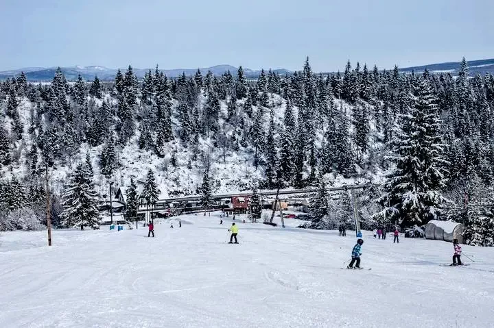 Rugonfalva Szállás | Motel (K1261-39) A kép szerzői jogvédelem alatt állhat. Javasolt a kapcsolatfelvétel a jog tulajdonossal.
