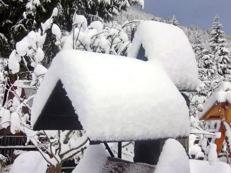 Lacu Roșu Cazare | Sat de vacanță (K1242-34) Imaginea poate fi supusă drepturilor de autor. Se recomandă contactarea titularului drepturilor.