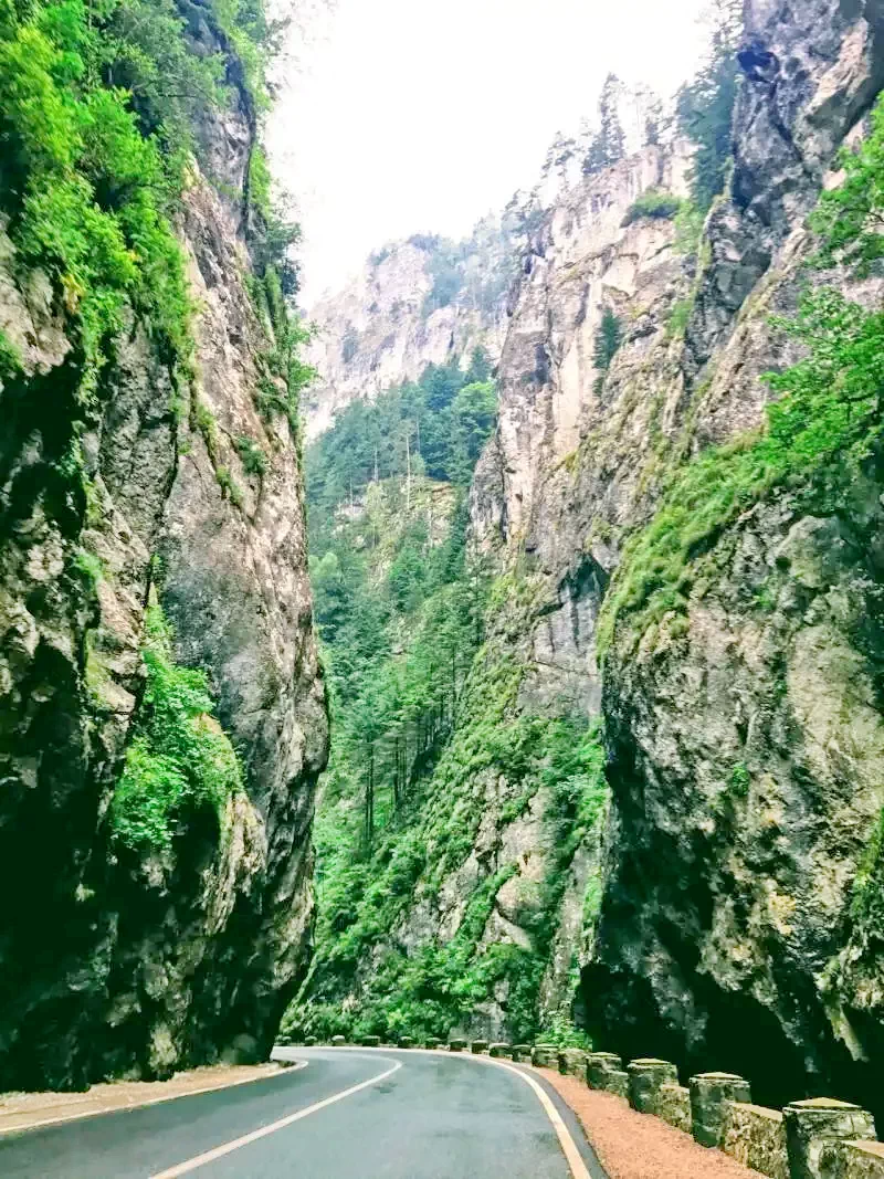 Lacu Roșu Cazare | Sat de vacanță (K1242-65) Imaginea poate fi supusă drepturilor de autor. Se recomandă contactarea titularului drepturilor.