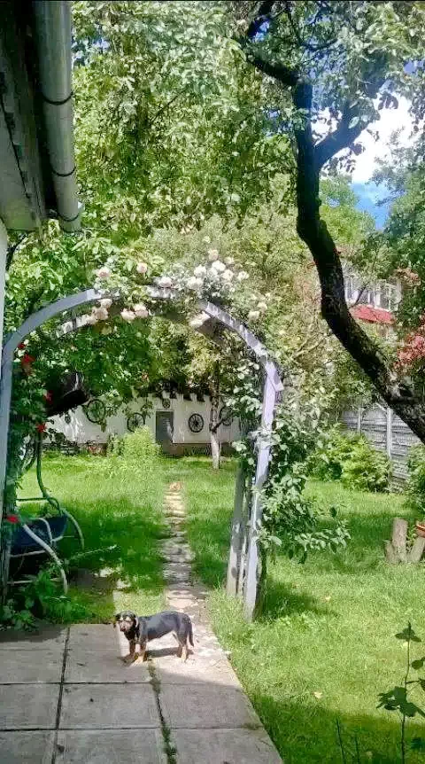 Resinár Szállás | Panzió (K0598-25) A kép szerzői jogvédelem alatt állhat. Javasolt a kapcsolatfelvétel a jog tulajdonossal. Resinár Szállás | Panzió (K0598-25) A kép szerzői jogvédelem alatt állhat. Javasolt a kapcsolatfelvétel a jog tulajdonossal.