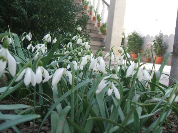 Rășinari Cazare | Motel (K0598-27) Imaginea poate fi supusă drepturilor de autor. Se recomandă contactarea titularului drepturilor.