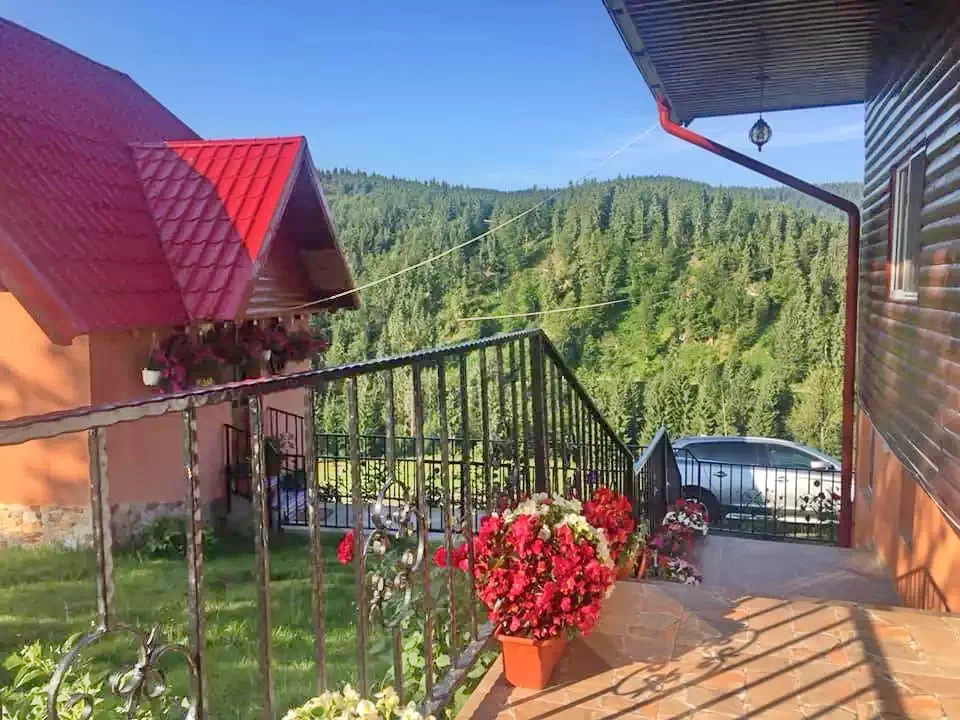 Lepus Szállás | Üdülőfalu (K1127-1) A kép szerzői jogvédelem alatt állhat. Javasolt a kapcsolatfelvétel a jog tulajdonossal.