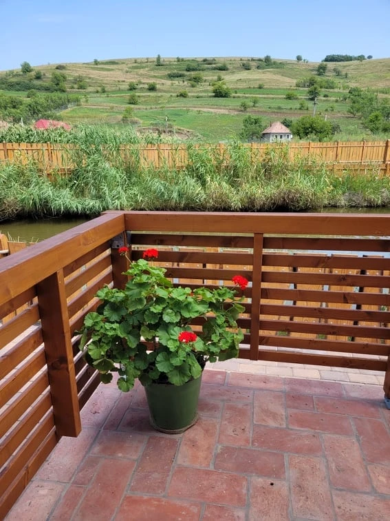 Sic Cazare | Pensiune (K1538-19) Imaginea poate fi supusă drepturilor de autor. Se recomandă contactarea titularului drepturilor. Sic Cazare | Pensiune (K1538-19) Imaginea poate fi supusă drepturilor de autor. Se recomandă contactarea titularului drepturilor.