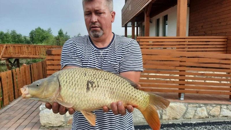 Sic Cazare | Motel (K1538-29) Imaginea poate fi supusă drepturilor de autor. Se recomandă contactarea titularului drepturilor.