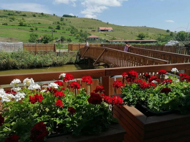 Szék Szállás | Motel (K1538-38) A kép szerzői jogvédelem alatt állhat. Javasolt a kapcsolatfelvétel a jog tulajdonossal.