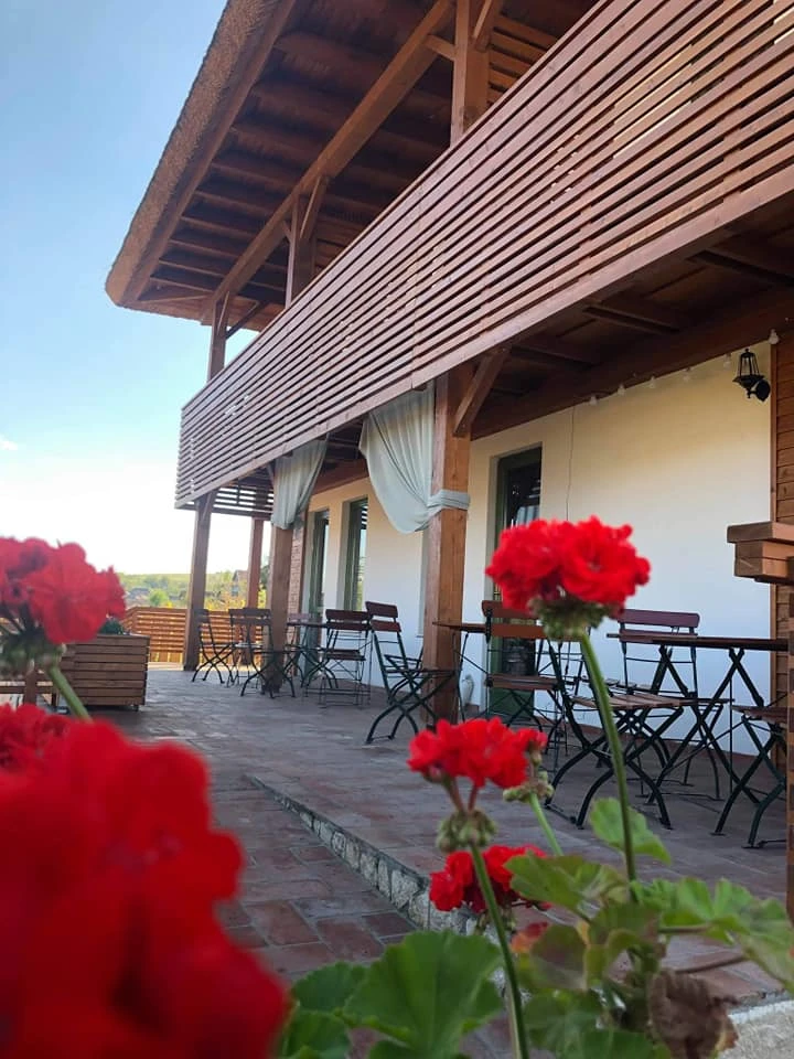 Sic Cazare | Motel (K1538-39) Imaginea poate fi supusă drepturilor de autor. Se recomandă contactarea titularului drepturilor.