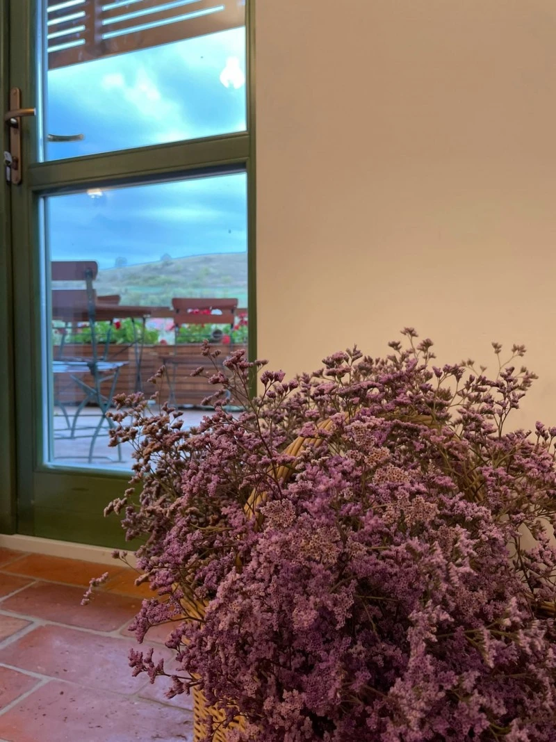 Sic Cazare | Motel (K1538-47) Imaginea poate fi supusă drepturilor de autor. Se recomandă contactarea titularului drepturilor.