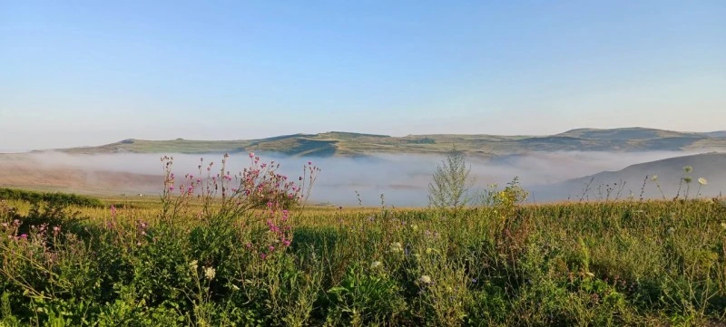 Szék Szállás | Motel (K1538-54) A kép szerzői jogvédelem alatt állhat. Javasolt a kapcsolatfelvétel a jog tulajdonossal.