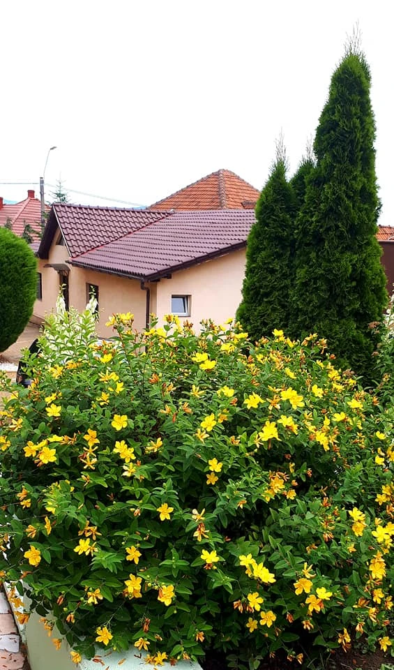 Déva Szállás | Panzió (K1152-57) A kép szerzői jogvédelem alatt állhat. Javasolt a kapcsolatfelvétel a jog tulajdonossal. Déva Szállás | Panzió (K1152-57) A kép szerzői jogvédelem alatt állhat. Javasolt a kapcsolatfelvétel a jog tulajdonossal.