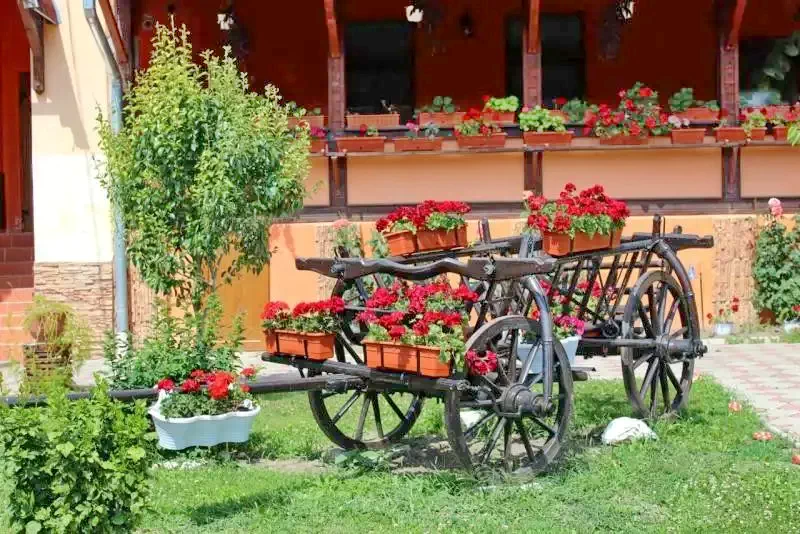 Bazna Cazare | Motel (K1172-1) Imaginea poate fi supusă drepturilor de autor. Se recomandă contactarea titularului drepturilor.