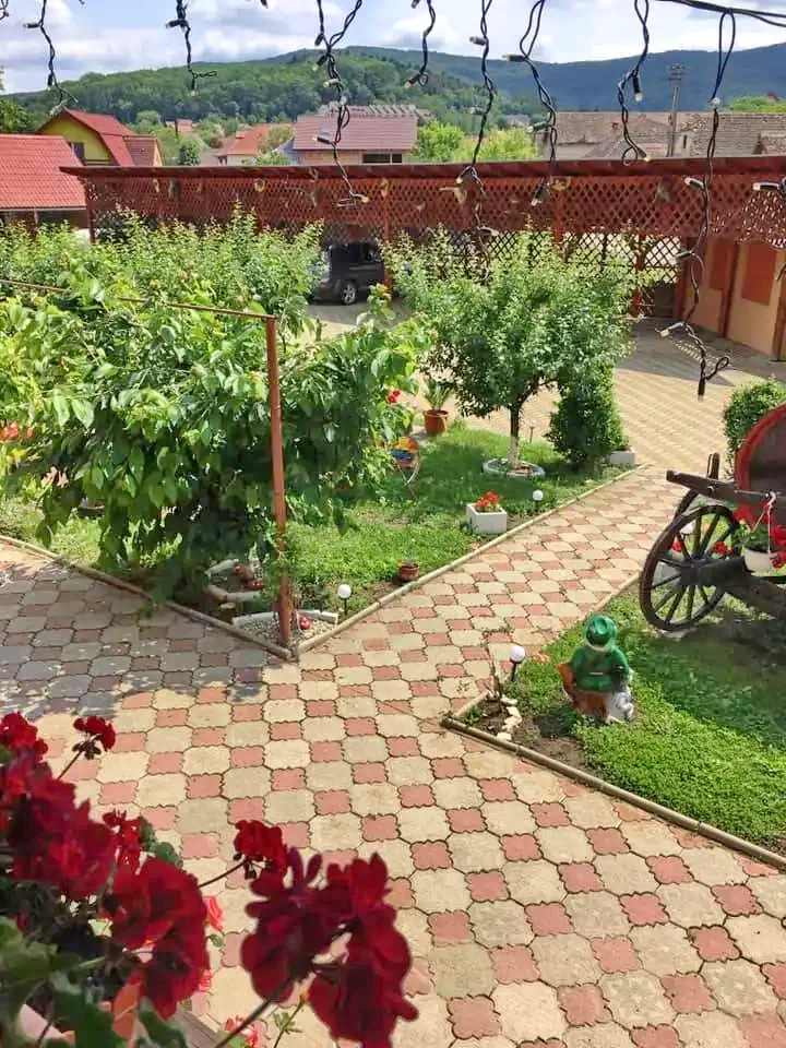 Bazna Cazare | Motel (K1172-33) Imaginea poate fi supusă drepturilor de autor. Se recomandă contactarea titularului drepturilor.