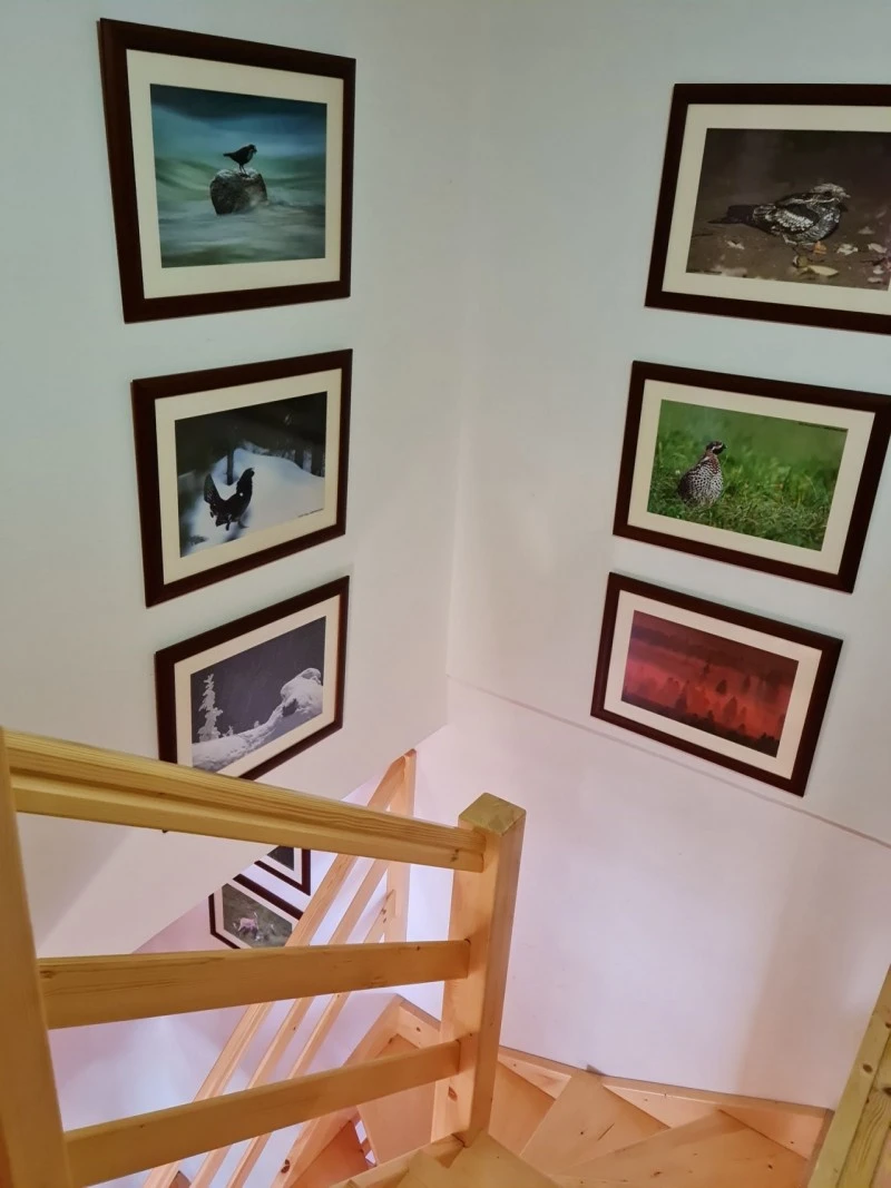 Sub Cetate Cazare | Cabană (K0629-32) Imaginea poate fi supusă drepturilor de autor. Se recomandă contactarea titularului drepturilor. Sub Cetate Cazare | Cabană (K0629-32) Imaginea poate fi supusă drepturilor de autor. Se recomandă contactarea titularului drepturilor.