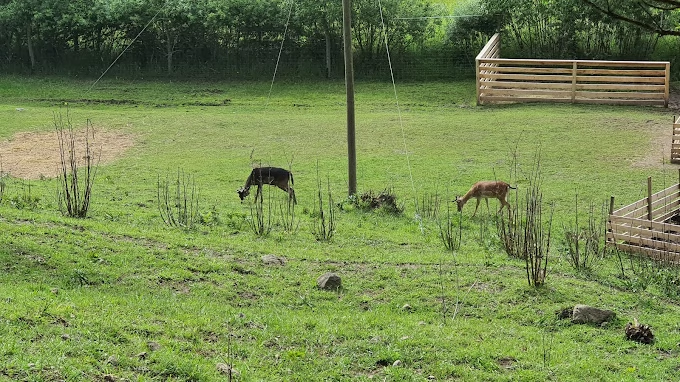 Zeteváralja Szállás | Kulcsosház (K0629-48) A kép szerzői jogvédelem alatt állhat. Javasolt a kapcsolatfelvétel a jog tulajdonossal. Zeteváralja Szállás | Kulcsosház (K0629-48) A kép szerzői jogvédelem alatt állhat. Javasolt a kapcsolatfelvétel a jog tulajdonossal.