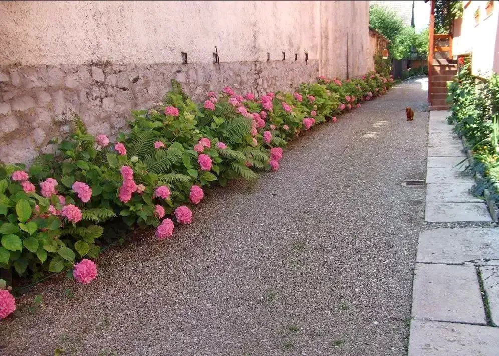 Săcele Cazare | Motel (K0088-25) Imaginea poate fi supusă drepturilor de autor. Se recomandă contactarea titularului drepturilor.