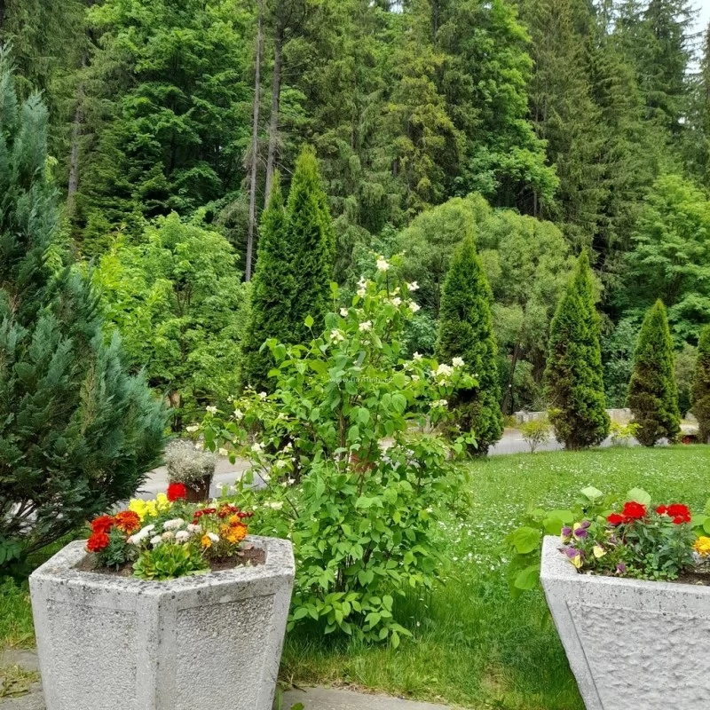 Gyilkostó Szállás | Motel (K0922-14) A kép szerzői jogvédelem alatt állhat. Javasolt a kapcsolatfelvétel a jog tulajdonossal.