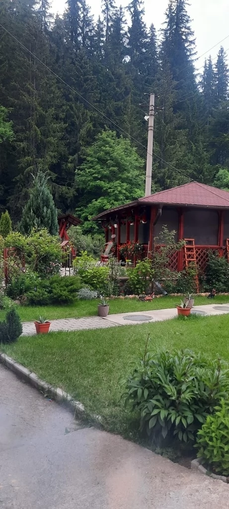 Gyilkostó Szállás | Panzió (K0922-16) A kép szerzői jogvédelem alatt állhat. Javasolt a kapcsolatfelvétel a jog tulajdonossal. Gyilkostó Szállás | Panzió (K0922-16) A kép szerzői jogvédelem alatt állhat. Javasolt a kapcsolatfelvétel a jog tulajdonossal.