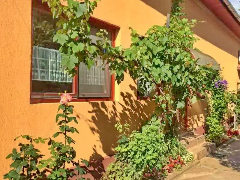 Finiș Cazare | Motel (K1038-29) Imaginea poate fi supusă drepturilor de autor. Se recomandă contactarea titularului drepturilor.