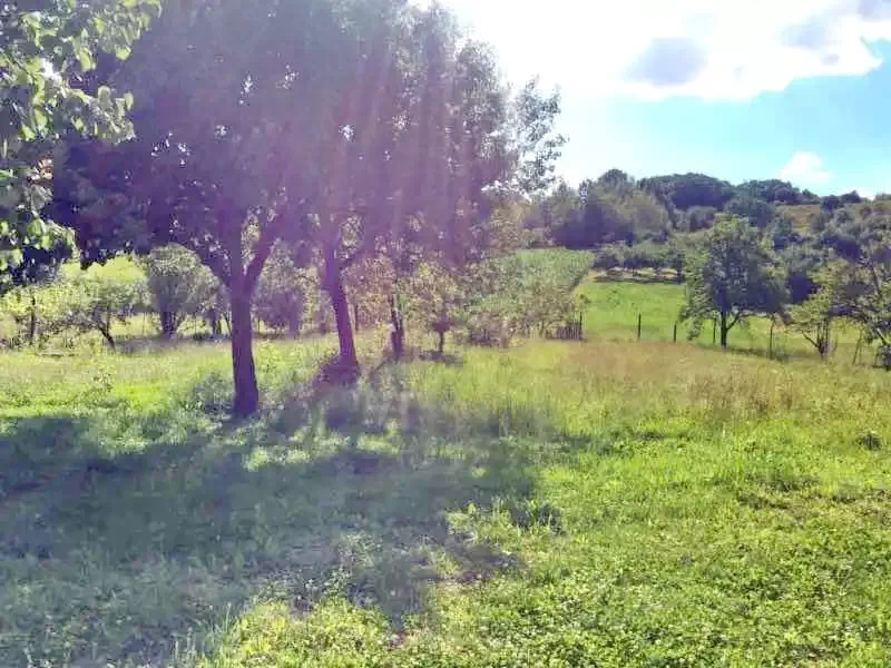 Várasfenes Szállás | Motel (K1038-31) A kép szerzői jogvédelem alatt állhat. Javasolt a kapcsolatfelvétel a jog tulajdonossal.