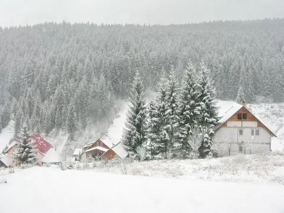 Borszék Szállás | Motel (K0049-18) A kép szerzői jogvédelem alatt állhat. Javasolt a kapcsolatfelvétel a jog tulajdonossal.