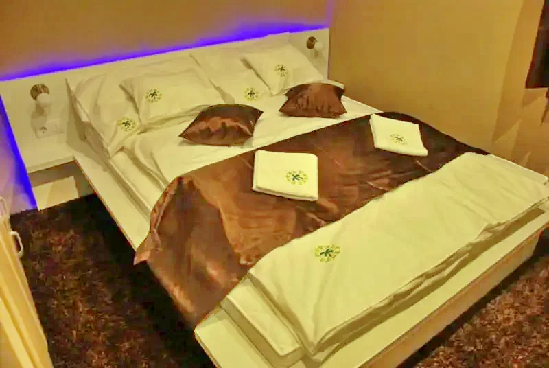  Cazare | Hotel*** (K0681-4) Imaginea poate fi supusă drepturilor de autor. Se recomandă contactarea titularului drepturilor.