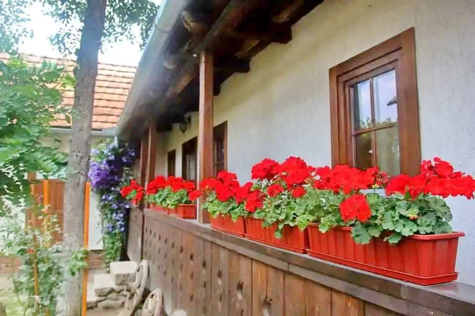 Cazare Praid - Casa de vacanță Zsuzsanna*** | Parajd - Zsuzsanna Parasztház***. Imaginea poate fi supusă drepturilor de autor. Se recomandă contactarea titularului drepturilor.