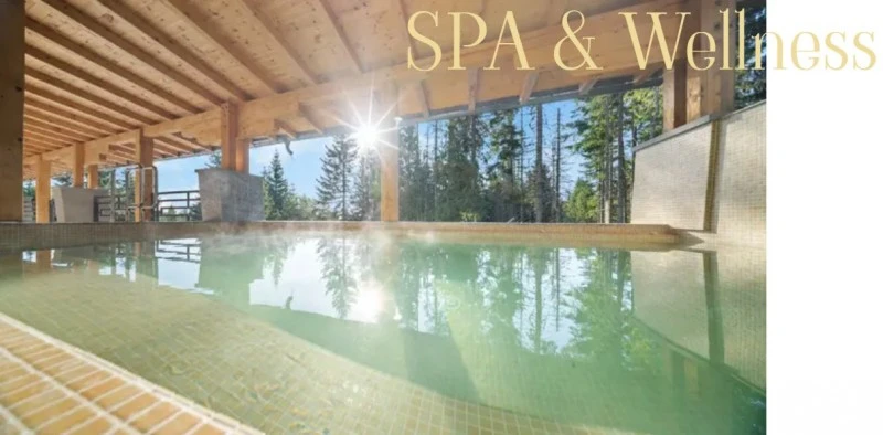 Szállás Harghita Băi - Hotel OZON Wellness***  | Hargitafürdő - OZON Wellness Hotel***. A kép szerzői jogvédelem alatt állhat. Javasolt a kapcsolatfelvétel a jog tulajdonossal.