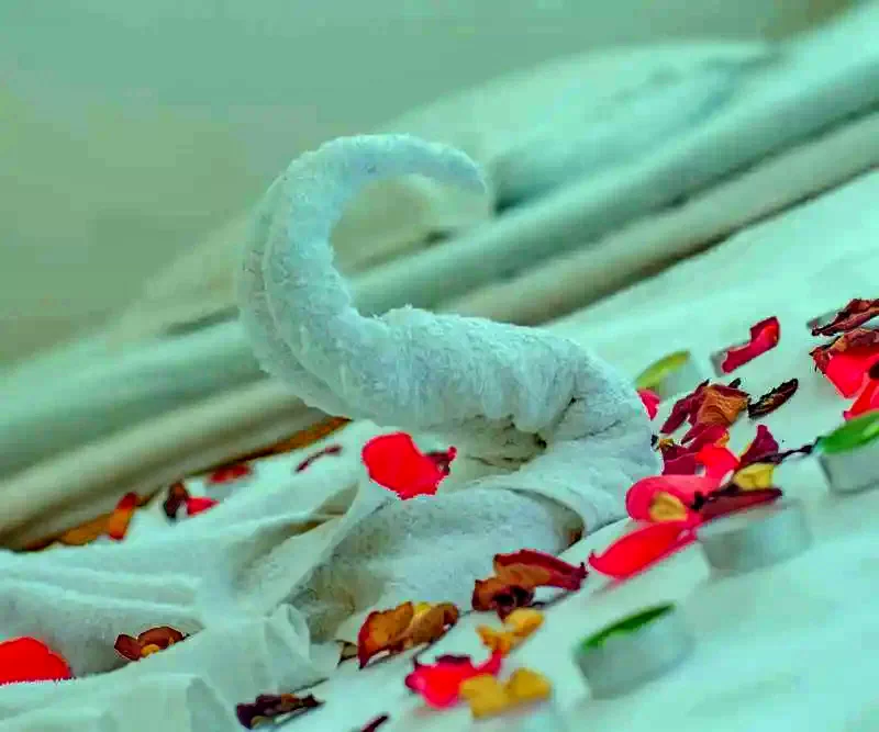 Bran Cazare | Pensiune (K0060-32) Imaginea poate fi supusă drepturilor de autor. Se recomandă contactarea titularului drepturilor.