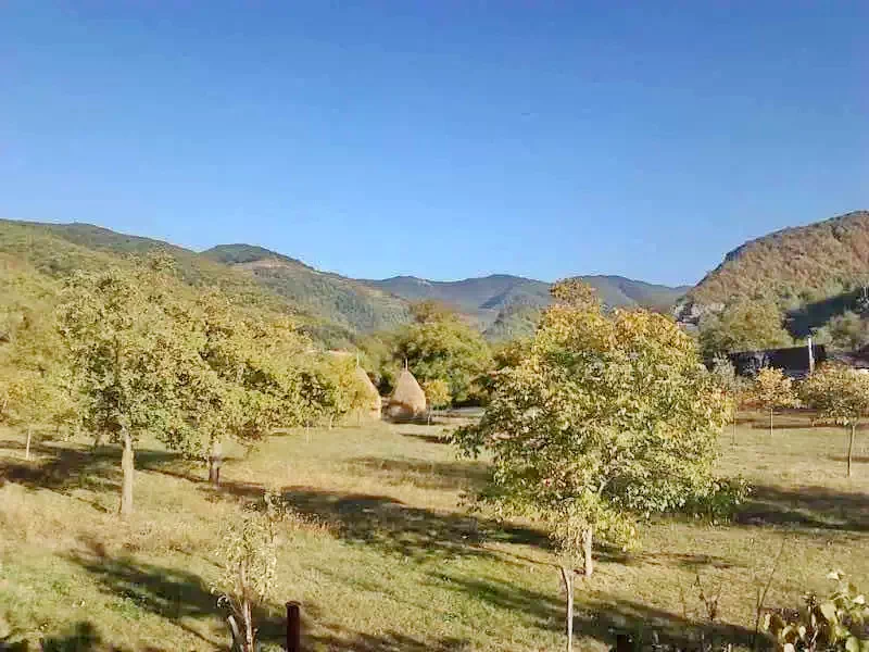 Szállás Chișcău - Cabana Măduța Traian | Kiskoh - Măduța Traian Kulcsosház. A kép szerzői jogvédelem alatt állhat. Javasolt a kapcsolatfelvétel a jog tulajdonossal.