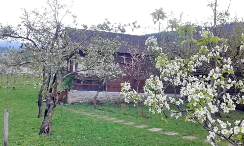 Szállás Chișcău - Cabana Măduța Traian | Kiskoh - Măduța Traian Kulcsosház. A kép szerzői jogvédelem alatt állhat. Javasolt a kapcsolatfelvétel a jog tulajdonossal.