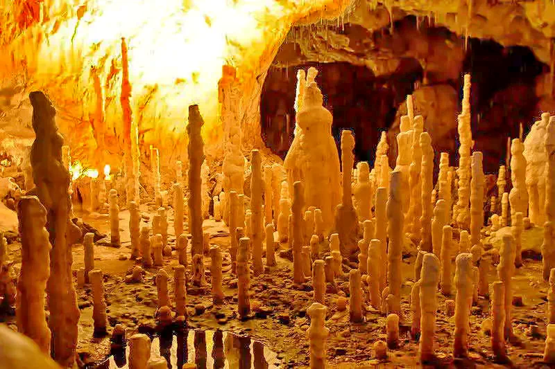 Szállás Chișcău - Cabana Măduța Traian | Kiskoh - Măduța Traian Kulcsosház. A kép szerzői jogvédelem alatt állhat. Javasolt a kapcsolatfelvétel a jog tulajdonossal.