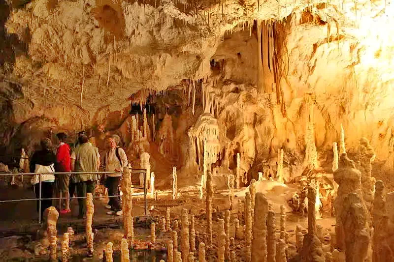 Szállás Chișcău - Cabana Măduța Traian | Kiskoh - Măduța Traian Kulcsosház. A kép szerzői jogvédelem alatt állhat. Javasolt a kapcsolatfelvétel a jog tulajdonossal.