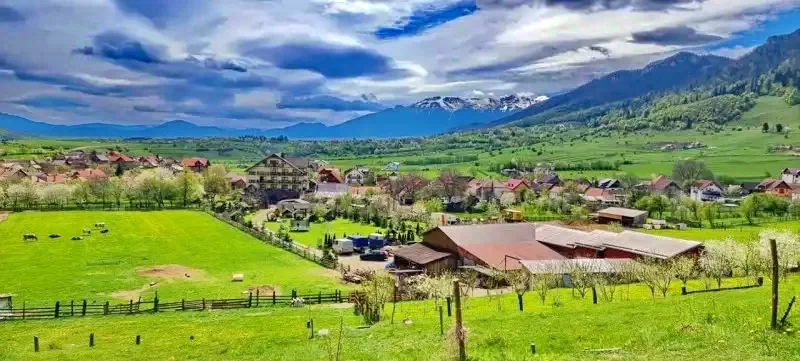 Zărnești Cazare | Motel (K1118-13) Imaginea poate fi supusă drepturilor de autor. Se recomandă contactarea titularului drepturilor.