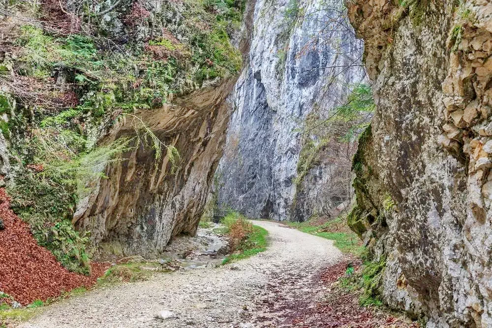 Zărnești Cazare | Pensiune (K1118-46) Imaginea poate fi supusă drepturilor de autor. Se recomandă contactarea titularului drepturilor. Zărnești Cazare | Pensiune (K1118-46) Imaginea poate fi supusă drepturilor de autor. Se recomandă contactarea titularului drepturilor.