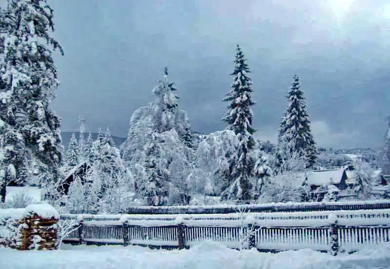 Izvoru Mureșului Cazare | Pensiune (K0099-23) Imaginea poate fi supusă drepturilor de autor. Se recomandă contactarea titularului drepturilor.