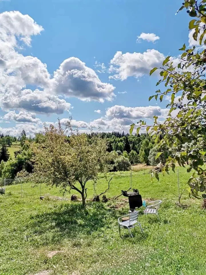 Beliș Cazare | Sat de vacanță (K0057-8) Imaginea poate fi supusă drepturilor de autor. Se recomandă contactarea titularului drepturilor.