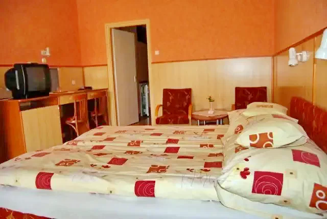 Cazare Gyula / Hőforrás Üdülőszövetkezet és Hotel. Imaginea poate fi supusă drepturilor de autor. Se recomandă contactarea titularului drepturilor.