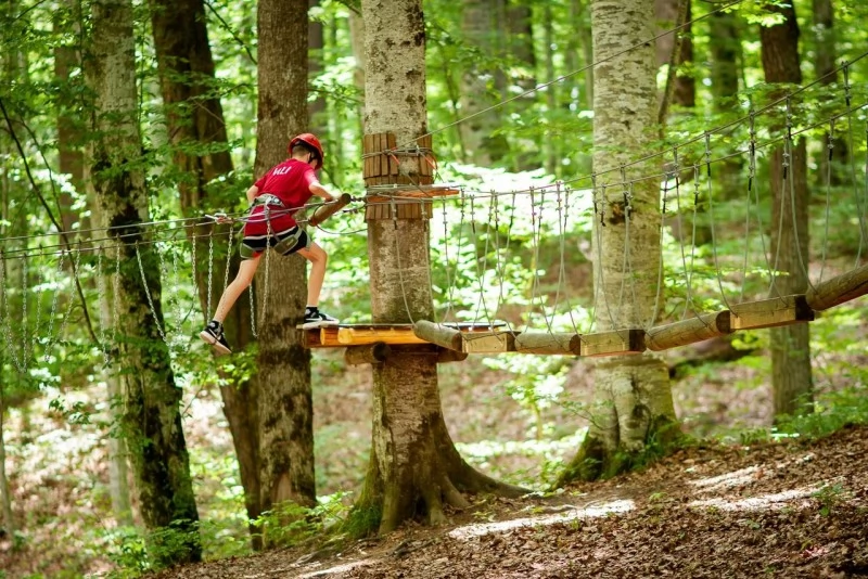 Sovata Cazare | Cabană (K1468-21) Imaginea poate fi supusă drepturilor de autor. Se recomandă contactarea titularului drepturilor. Sovata Cazare | Cabană (K1468-21) Imaginea poate fi supusă drepturilor de autor. Se recomandă contactarea titularului drepturilor.