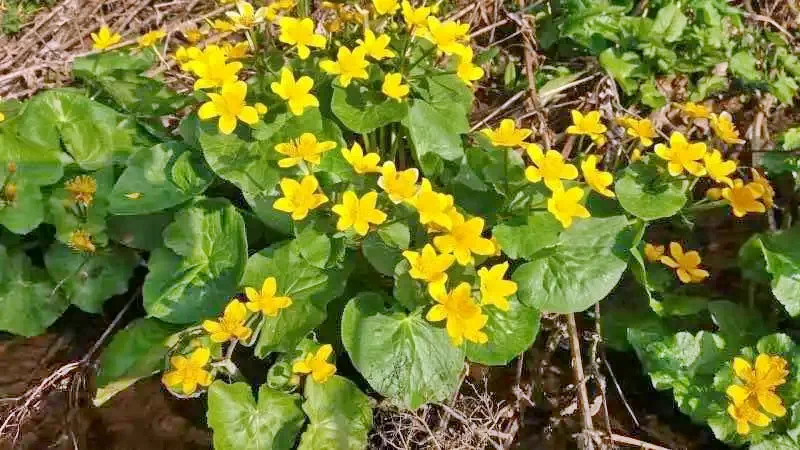 Biharfüred Szállás | Panzió (K0143-57) A kép szerzői jogvédelem alatt állhat. Javasolt a kapcsolatfelvétel a jog tulajdonossal. Biharfüred Szállás | Panzió (K0143-57) A kép szerzői jogvédelem alatt állhat. Javasolt a kapcsolatfelvétel a jog tulajdonossal.