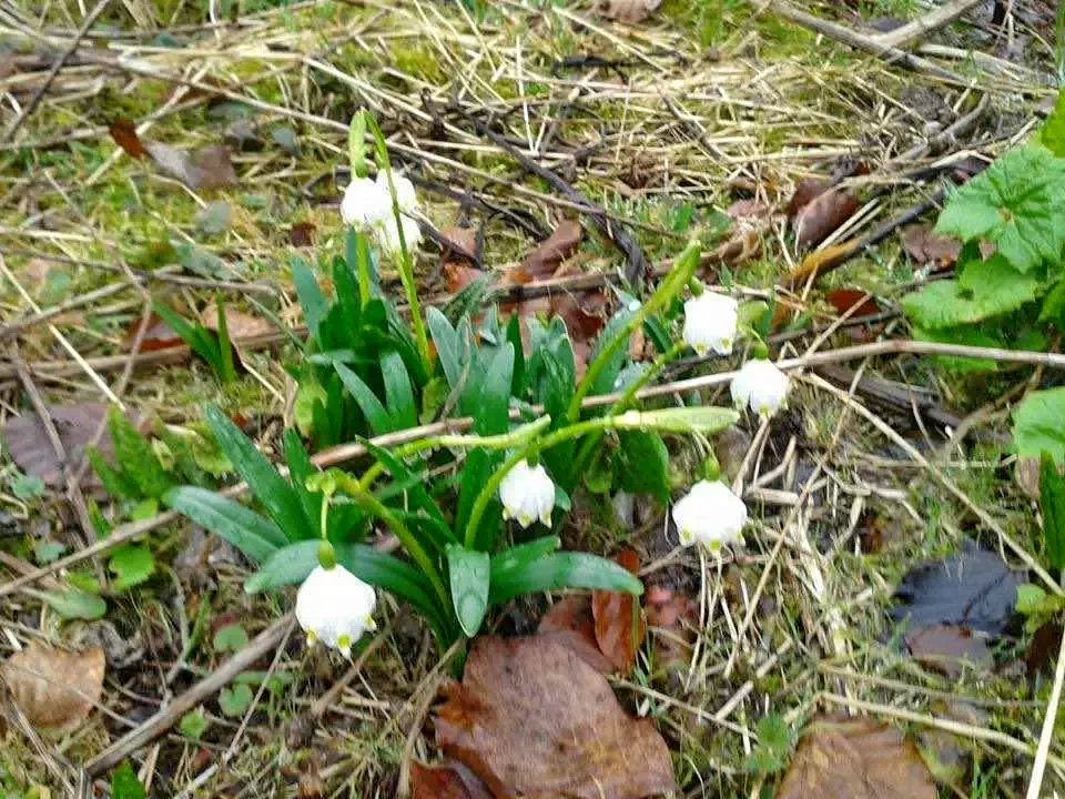 Stâna de Vale Cazare | Pensiune (K0143-63) Imaginea poate fi supusă drepturilor de autor. Se recomandă contactarea titularului drepturilor. Stâna de Vale Cazare | Pensiune (K0143-63) Imaginea poate fi supusă drepturilor de autor. Se recomandă contactarea titularului drepturilor.