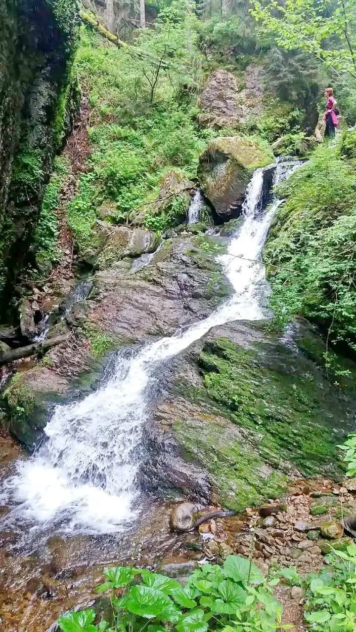 Stâna de Vale Cazare | Pensiune (K0143-64) Imaginea poate fi supusă drepturilor de autor. Se recomandă contactarea titularului drepturilor. Stâna de Vale Cazare | Pensiune (K0143-64) Imaginea poate fi supusă drepturilor de autor. Se recomandă contactarea titularului drepturilor.