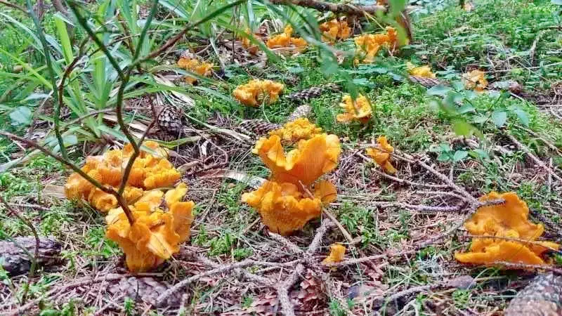 Biharfüred Szállás | Panzió (K0143-68) A kép szerzői jogvédelem alatt állhat. Javasolt a kapcsolatfelvétel a jog tulajdonossal. Biharfüred Szállás | Panzió (K0143-68) A kép szerzői jogvédelem alatt állhat. Javasolt a kapcsolatfelvétel a jog tulajdonossal.