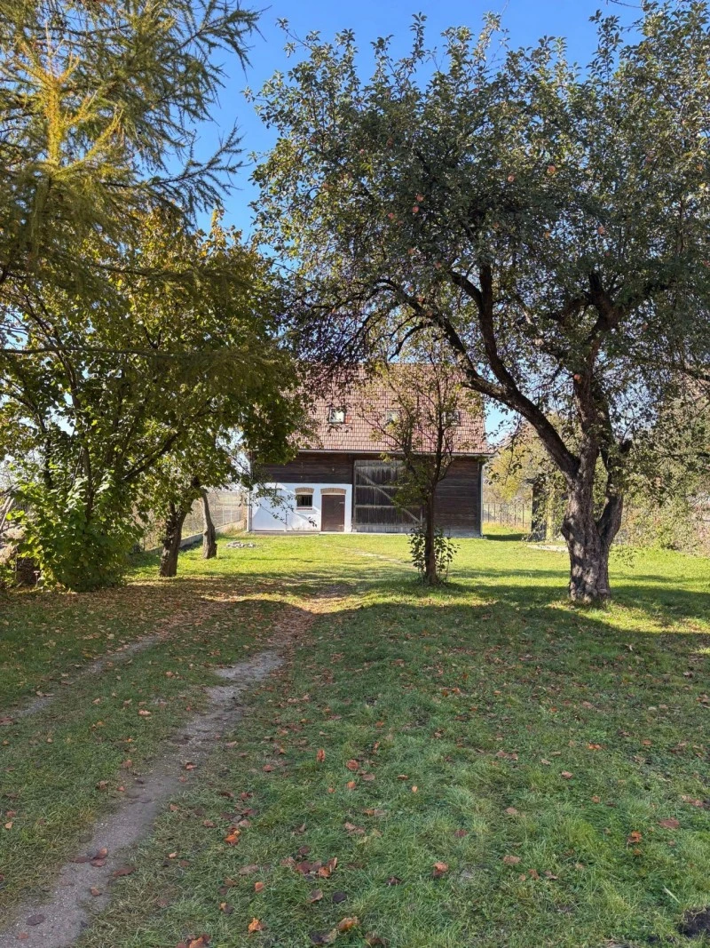 Csíkszentmárton Szállás | Hotel**** (K1509-1) A kép szerzői jogvédelem alatt állhat. Javasolt a kapcsolatfelvétel a jog tulajdonossal.