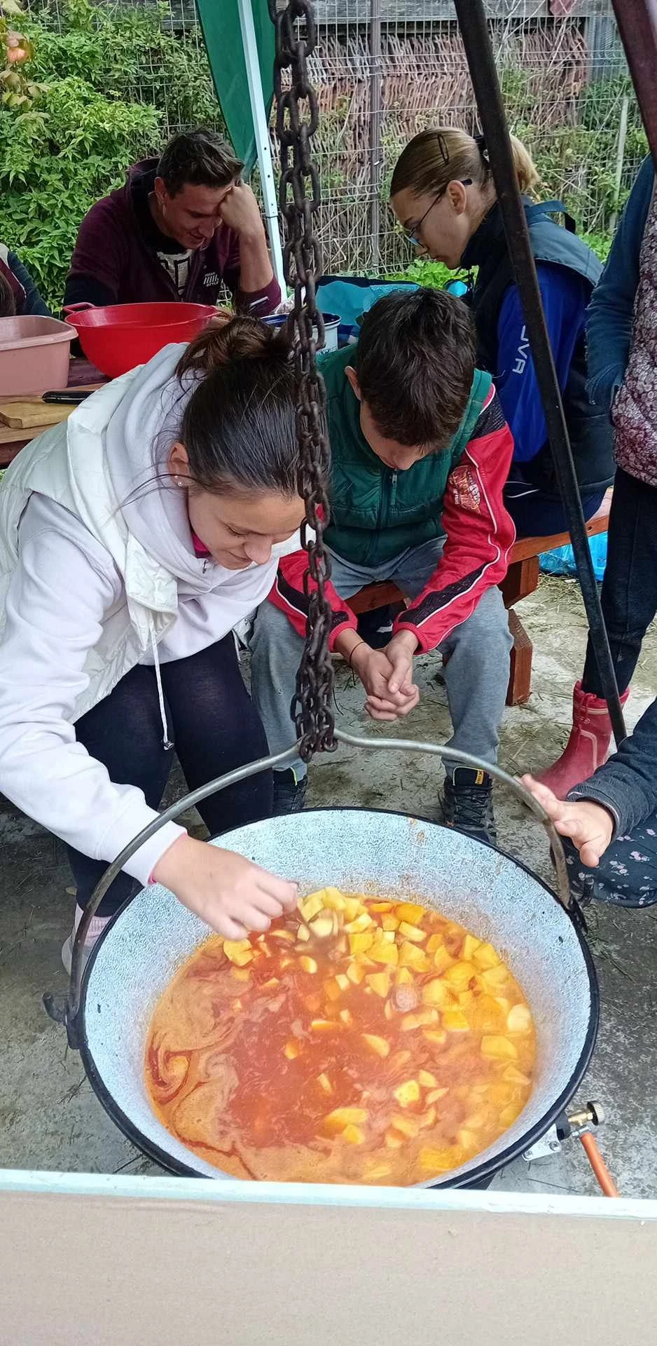 Csíkszentmárton Szállás | Vendégház (K1509-32) A kép szerzői jogvédelem alatt állhat. Javasolt a kapcsolatfelvétel a jog tulajdonossal. Csíkszentmárton Szállás | Vendégház (K1509-32) A kép szerzői jogvédelem alatt állhat. Javasolt a kapcsolatfelvétel a jog tulajdonossal.